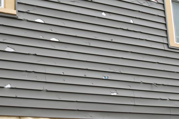 Affordable Siding Repair and Maintenance Services in Garfield, TX